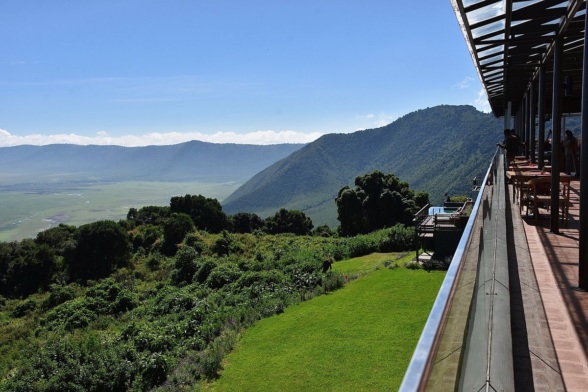 Grand Northern Horizons Safari