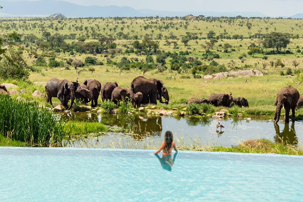 Serengeti Lodge - Exterior