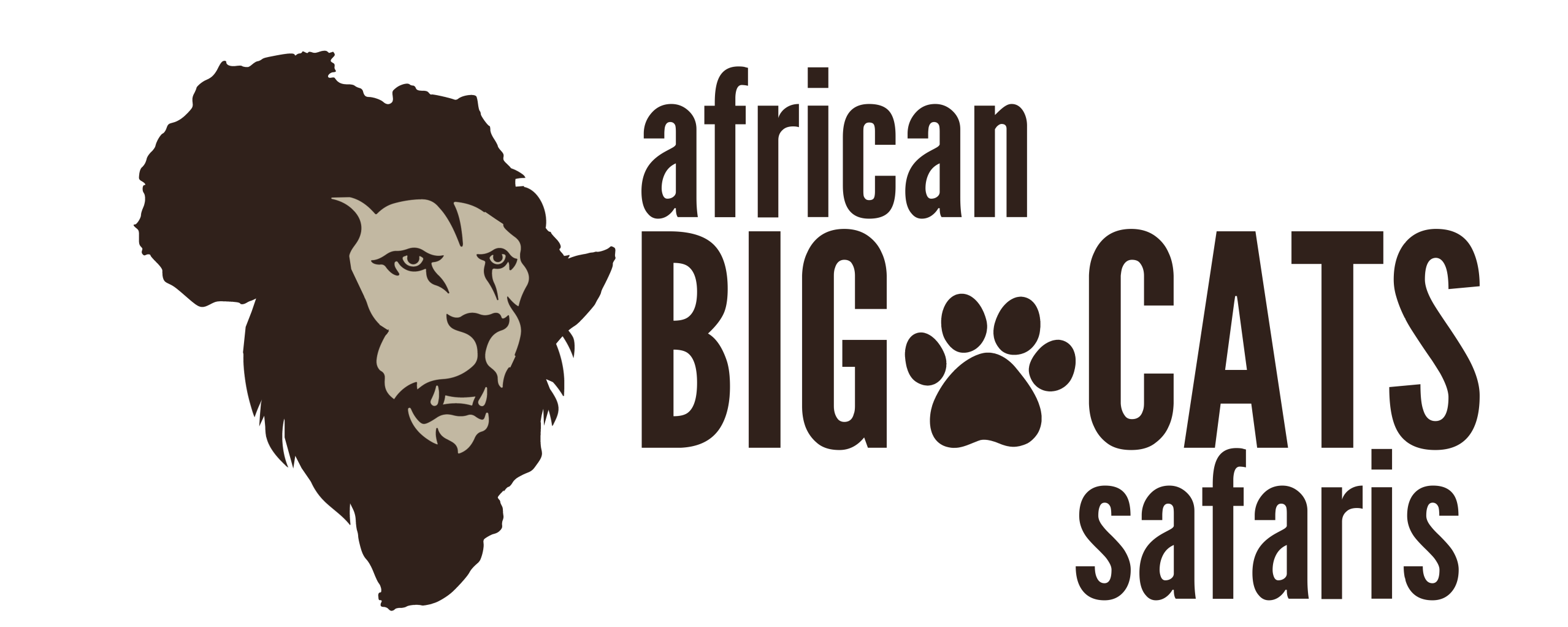 africa-big-cats-safari png (1)