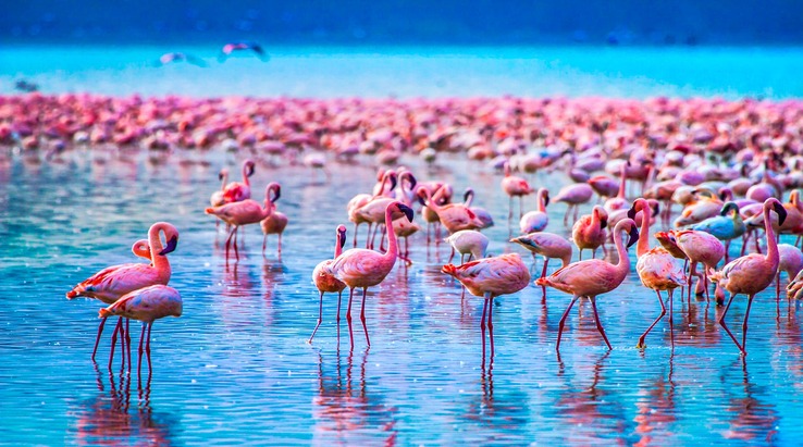 Lake Manyara
