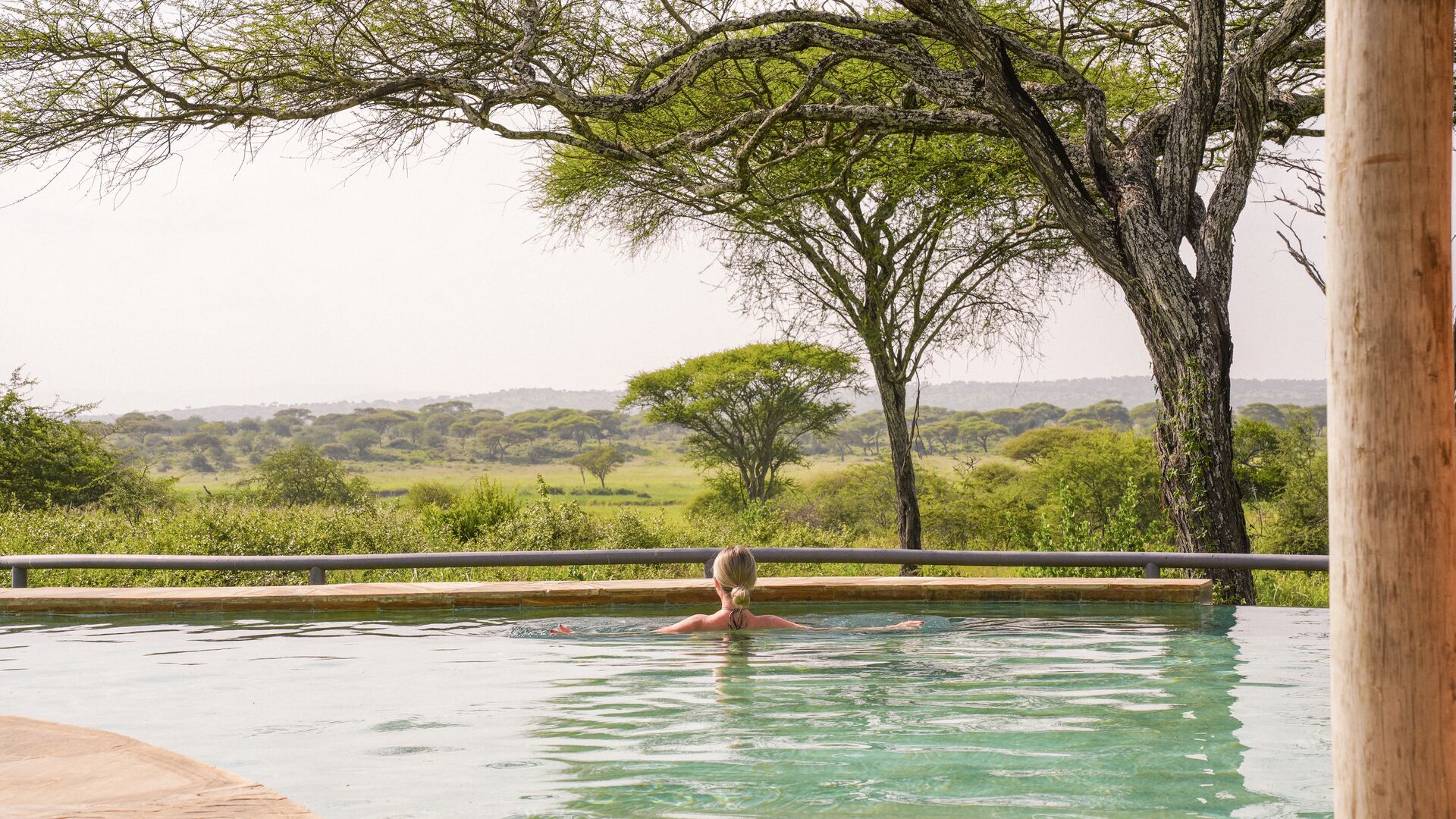 Wildebeest migration viewed from a private camp deck