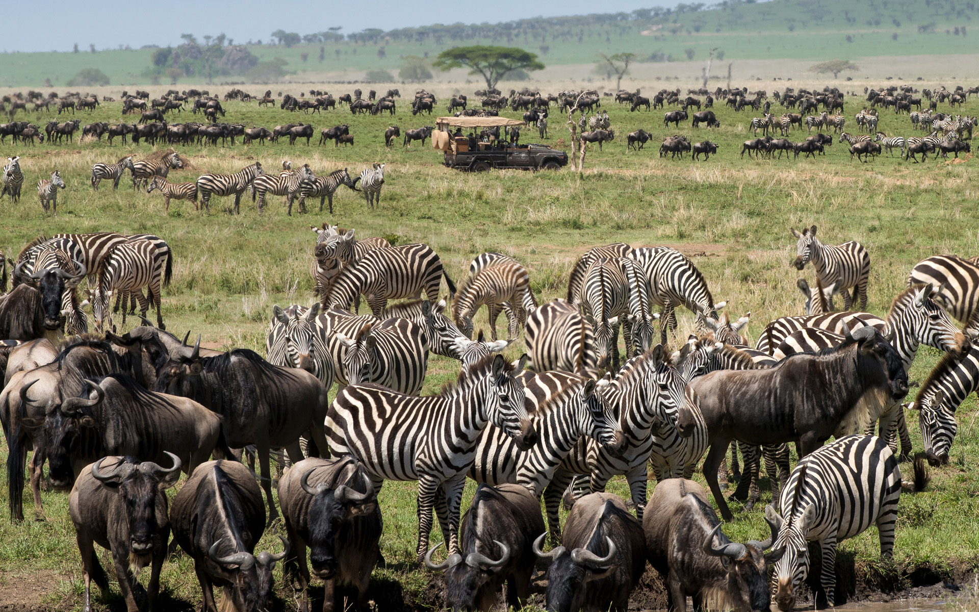 One Nature - Wildlife