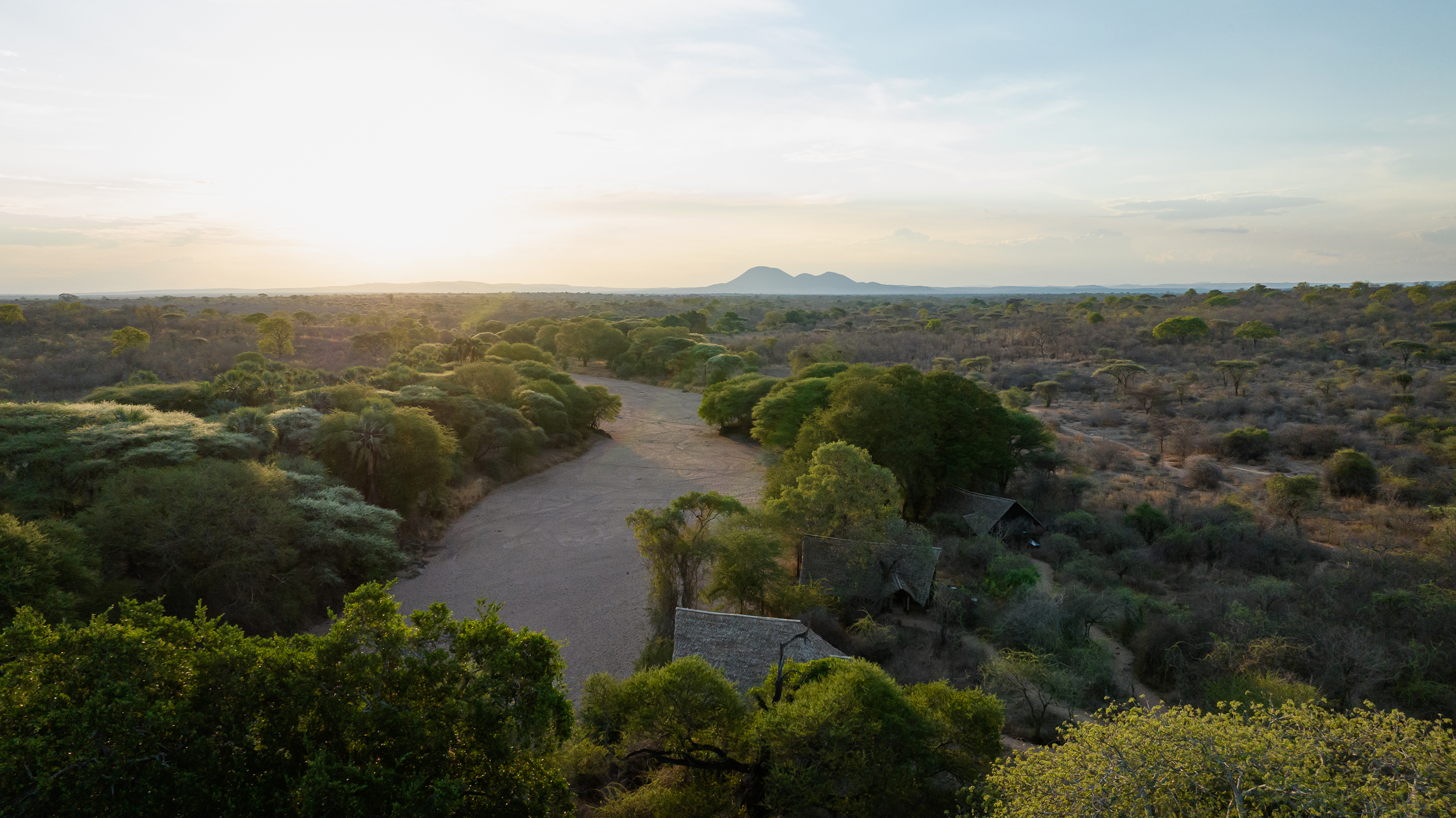 Ruaha Baobabs